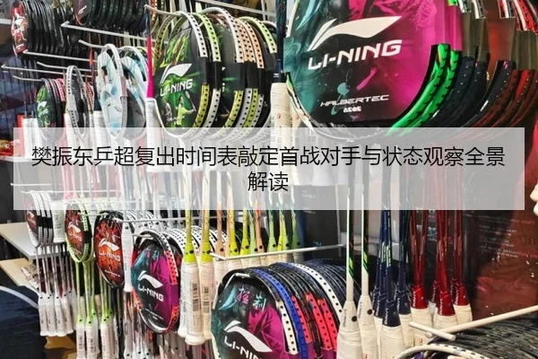 樊振东乒超复出时间表敲定首战对手与状态观察全景解读